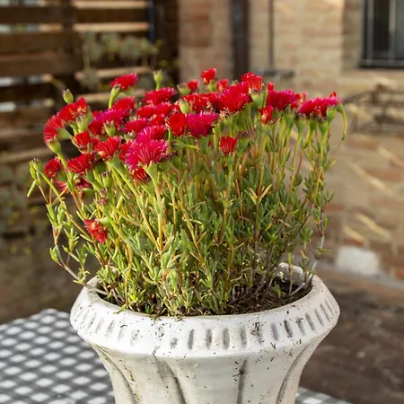 Stare Bene A * Siena