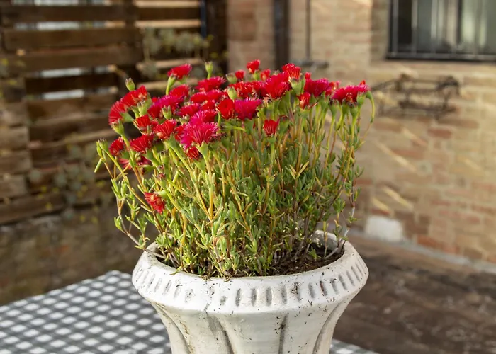 Stare Bene A * Siena